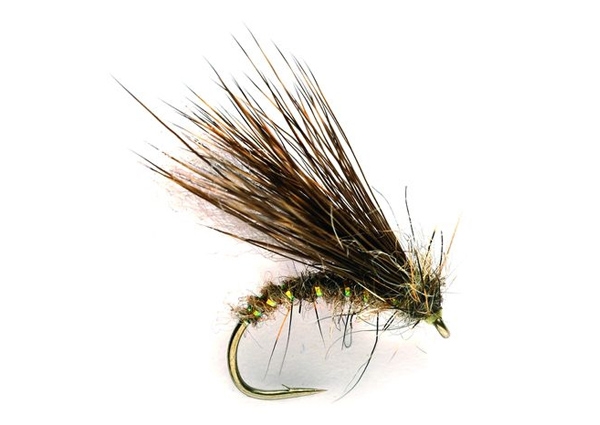 Sedgehammer Hares Ear Koecherfliege Sedge Trockenfliege Flyfishingeurope Shop De